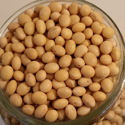 Fèves de soya biologique du Québec