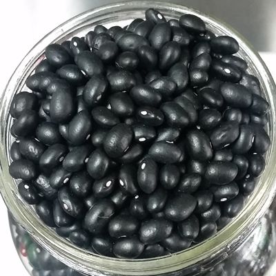 Haricots noirs biologiques QC