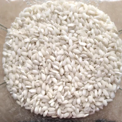 Riz Arborio biologique