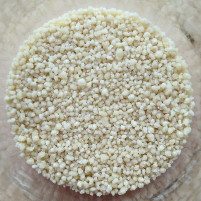 couscous régulier