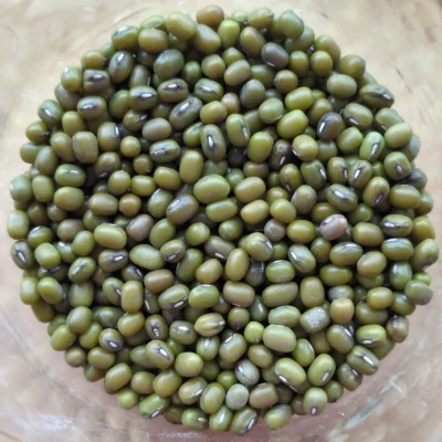 Haricots Mung secs