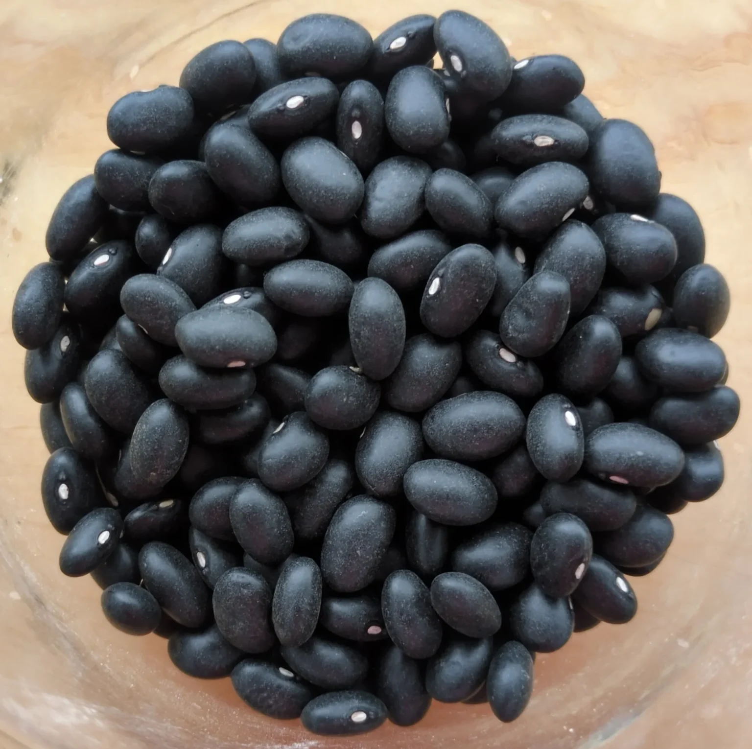 Haricots noirs bio du Québec