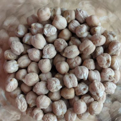 pois chiches dans un pot en verre