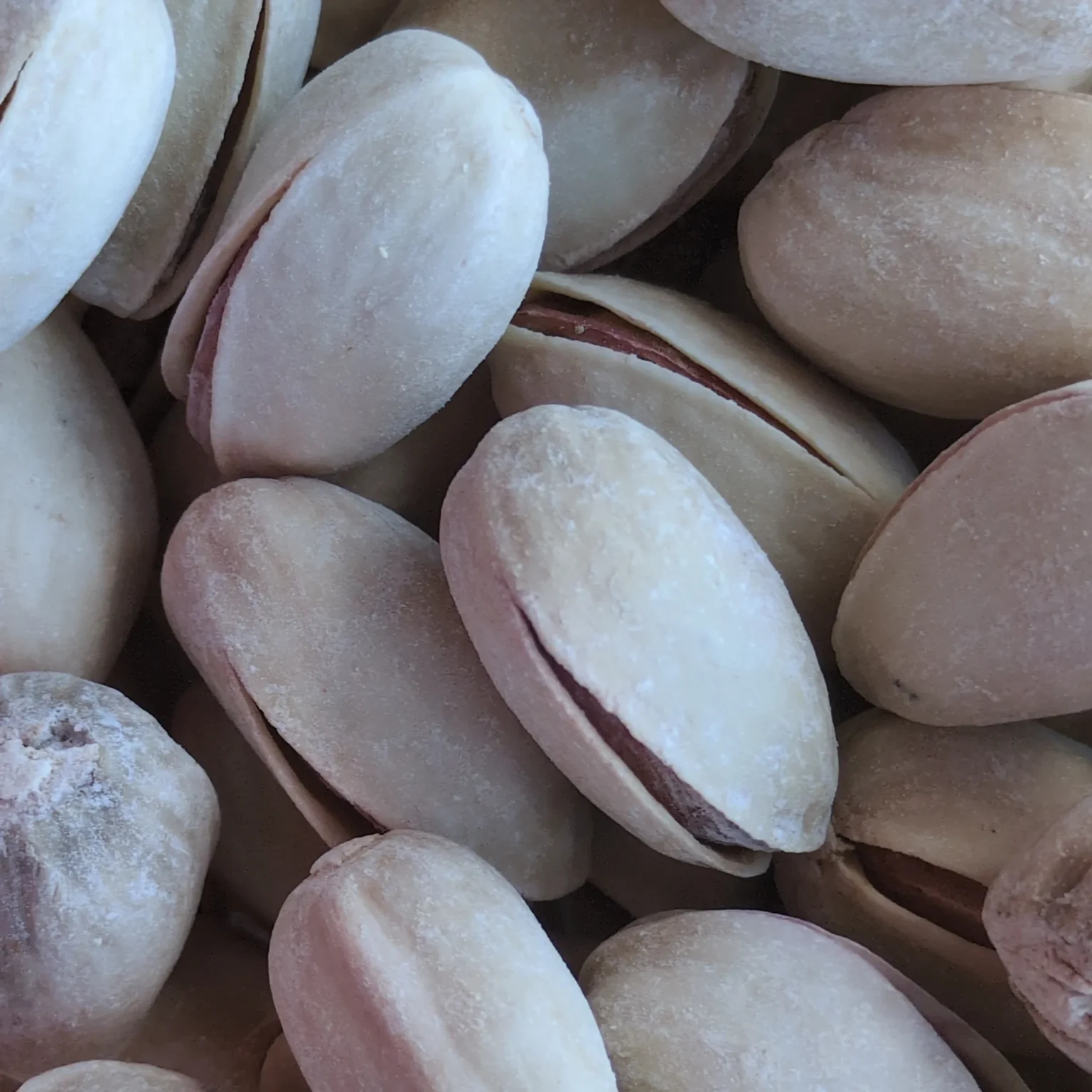pistaches rôties saléee en écailles en gros plan