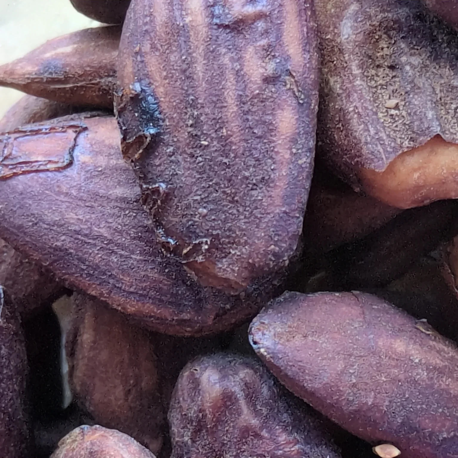Amandes grillées au tamari shoyu en gros plan
