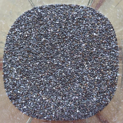 Graines entière de chia noir.
