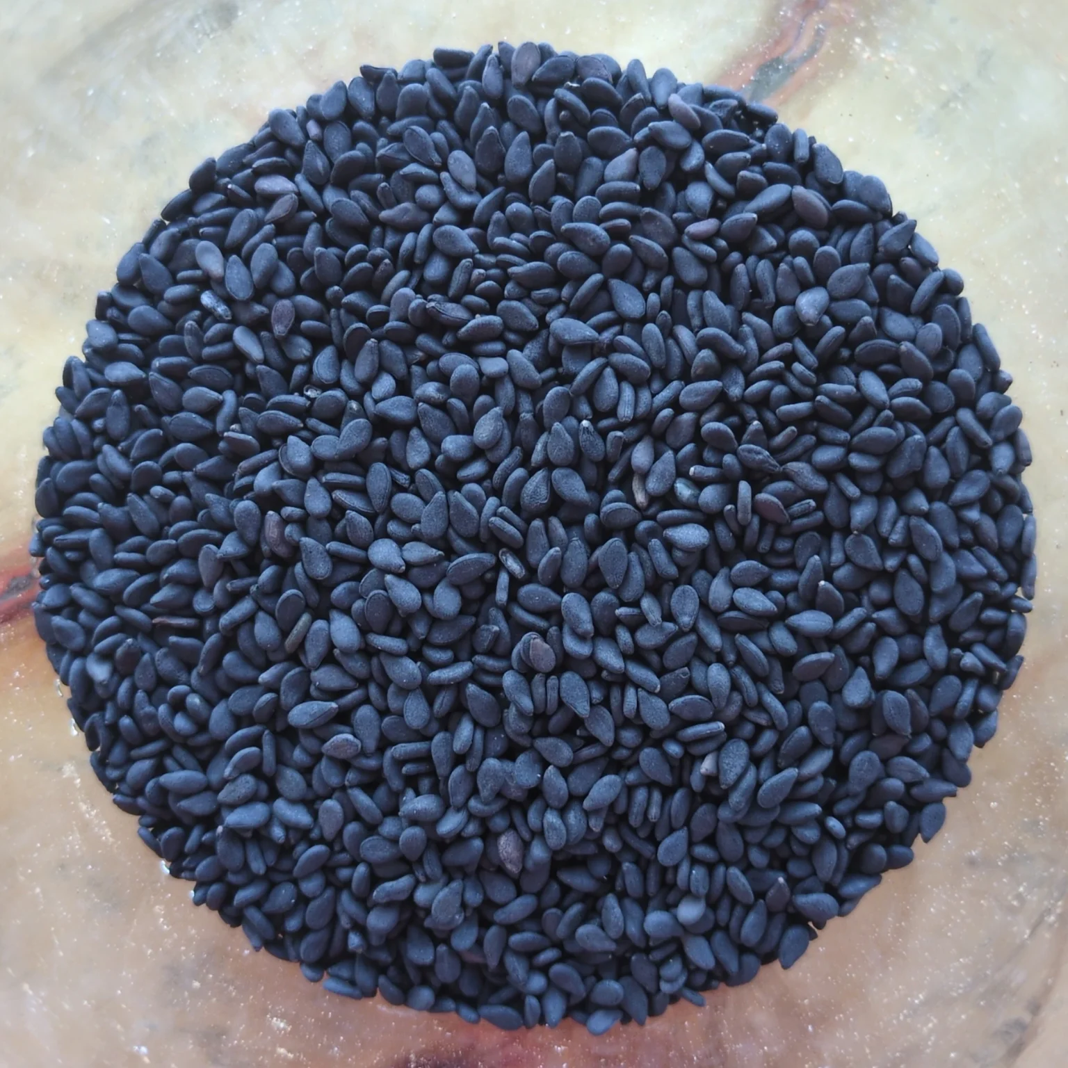 graines de sesame noires dans un bol