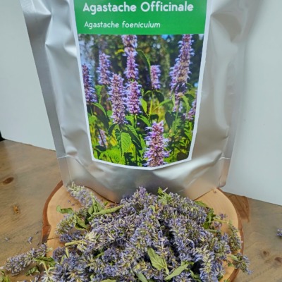 Agastache officinale - fleurs