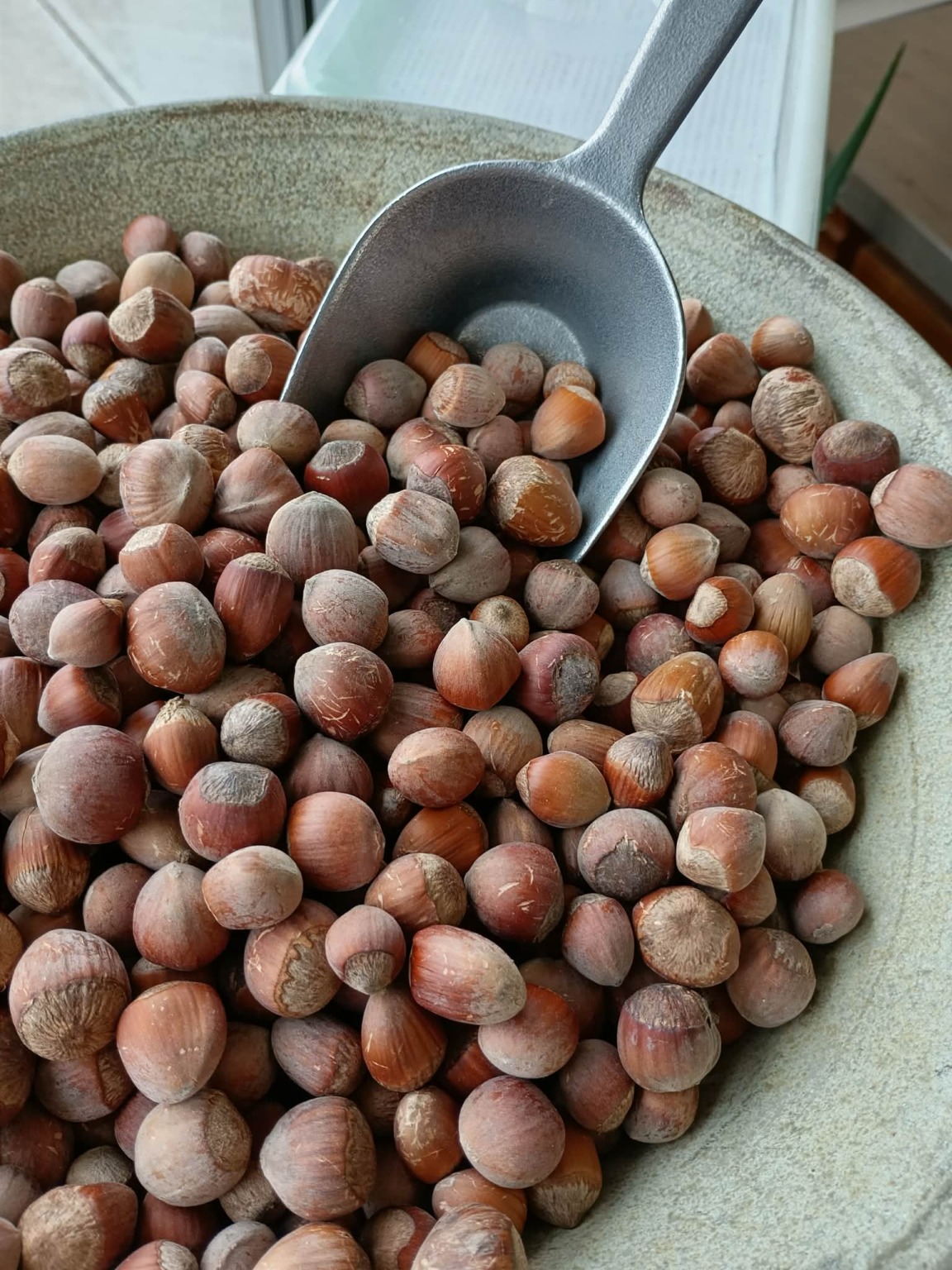 Noisettes du Québec en écaille