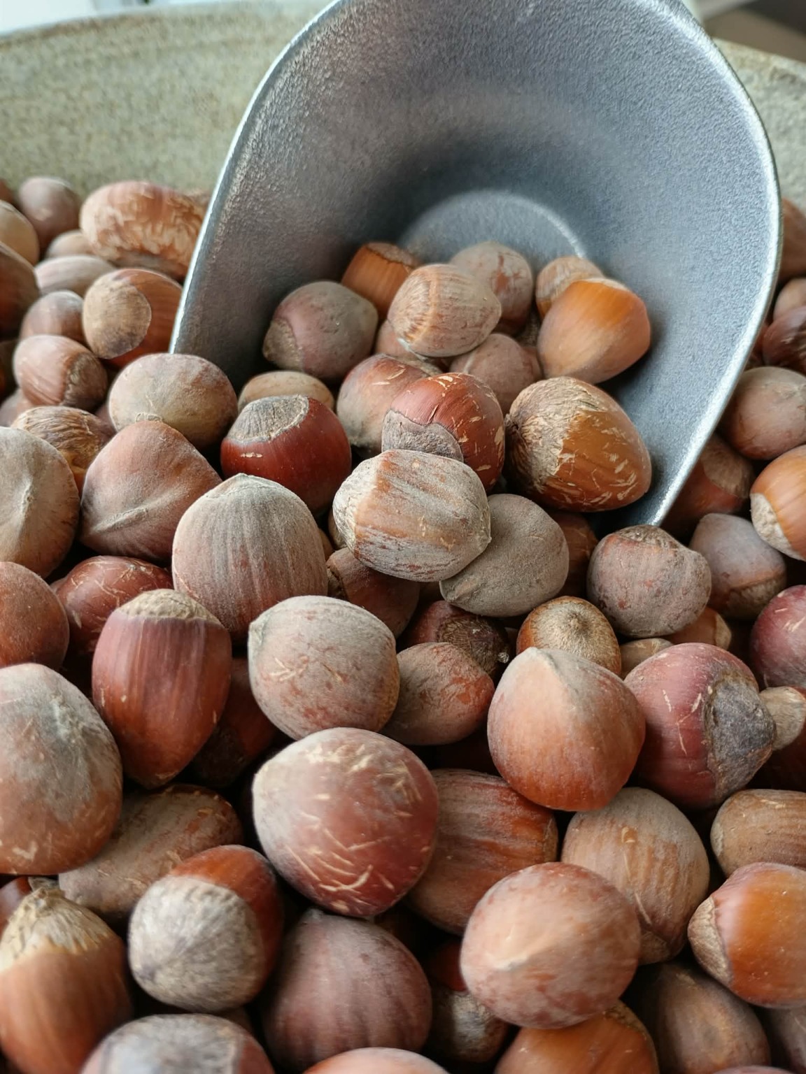 Noisettes du Québec en écaille